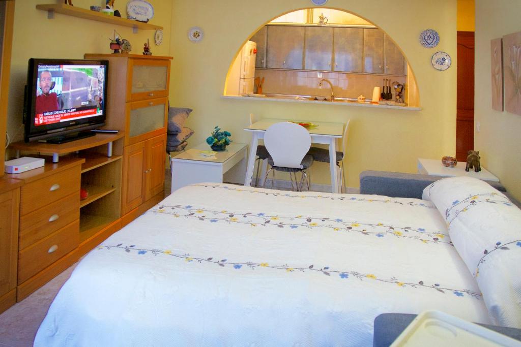 Televízia a/alebo spoločenská miestnosť v ubytovaní Apartamento Tamarindos II