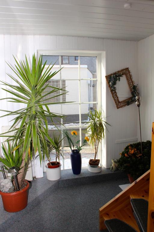 Fotografie z fotogalerie ubytování Hotel Cafe Bothe v destinaci Wolfshagen