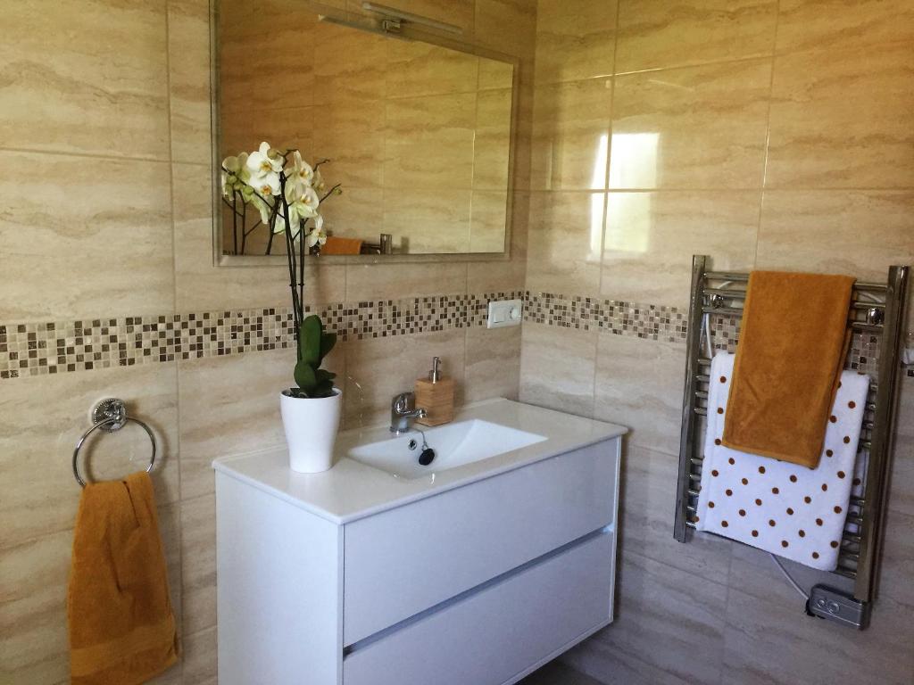 Koupelna v ubytování Casa las Torres B&B