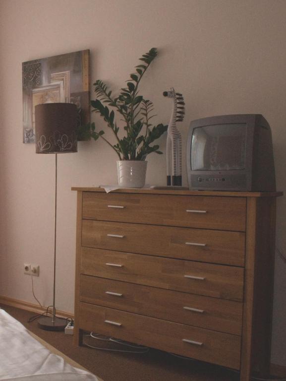 TV a/nebo společenská místnost v ubytování Hotel Cafe Bothe