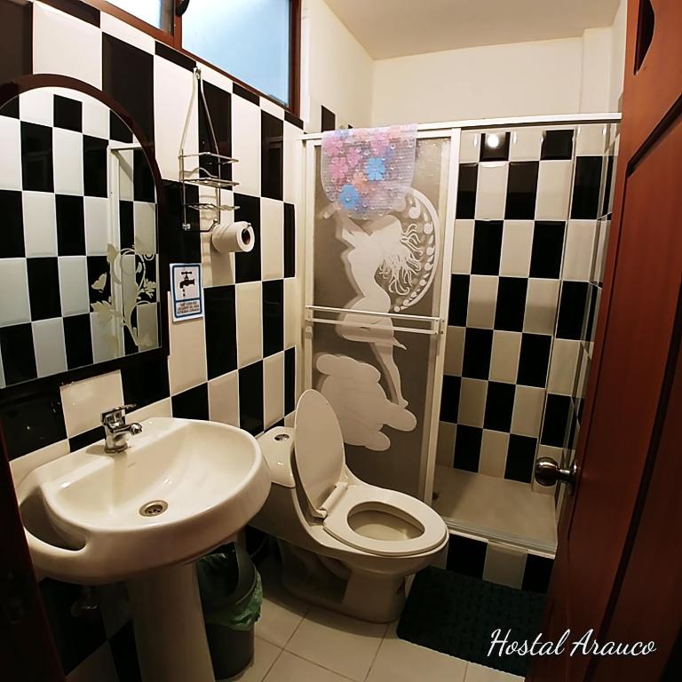Koupelna v ubytování Hostal Arauco
