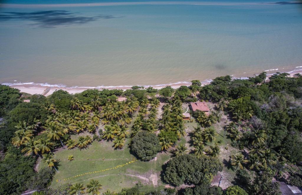 an aerial view of a forest of palm trees next to the ocean at Sítio Canto do Sabiá in Cumuruxatiba
