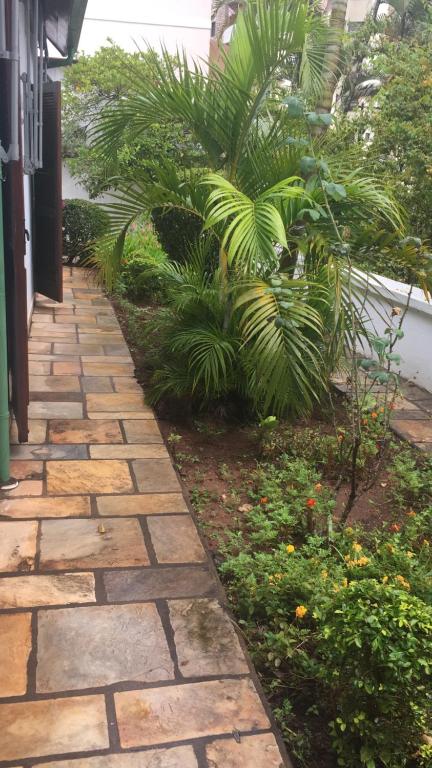 Paraiso dentro da cidade