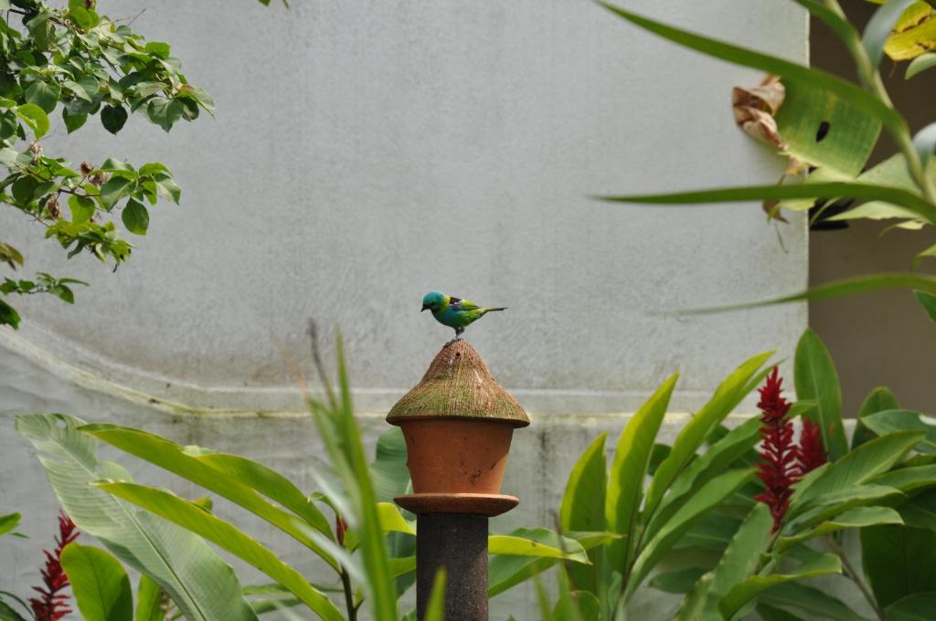  Pousada Torre Del Mar