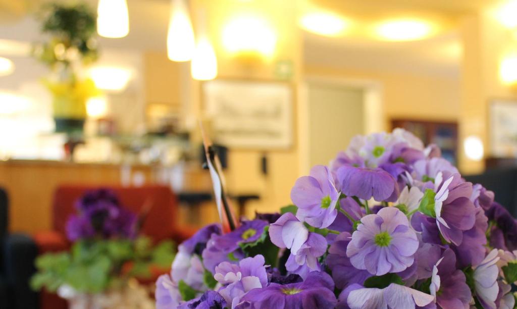 Fotografie z fotogalerie ubytování Hotel Albatros v Mestre