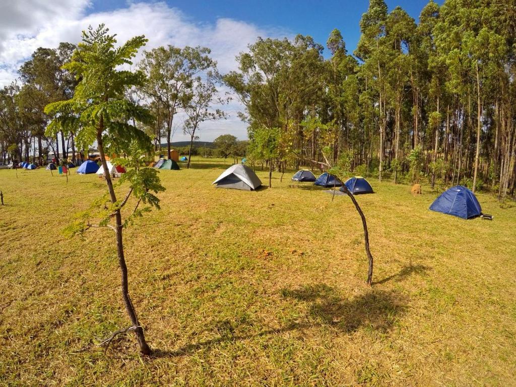  Camping/Hostel do Tamanduá