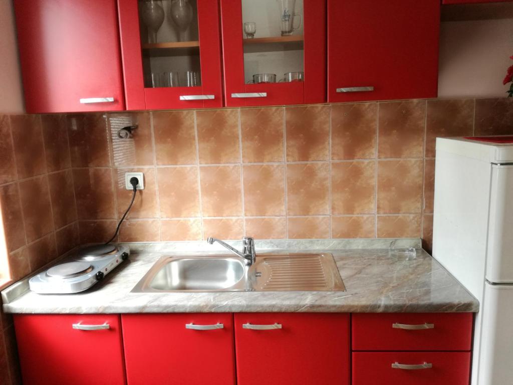 Kuchyň nebo kuchyňský kout v ubytování Apartmani RALE rooms