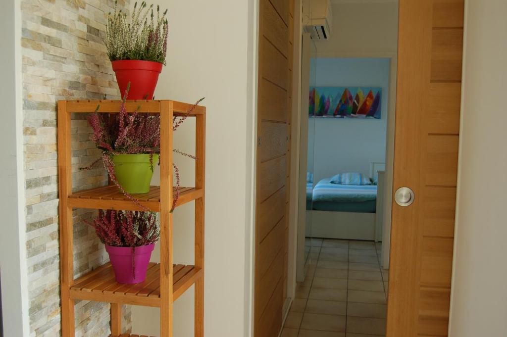 een kamer met twee houten planken met potplanten bij La Maison de Peggy in Garons