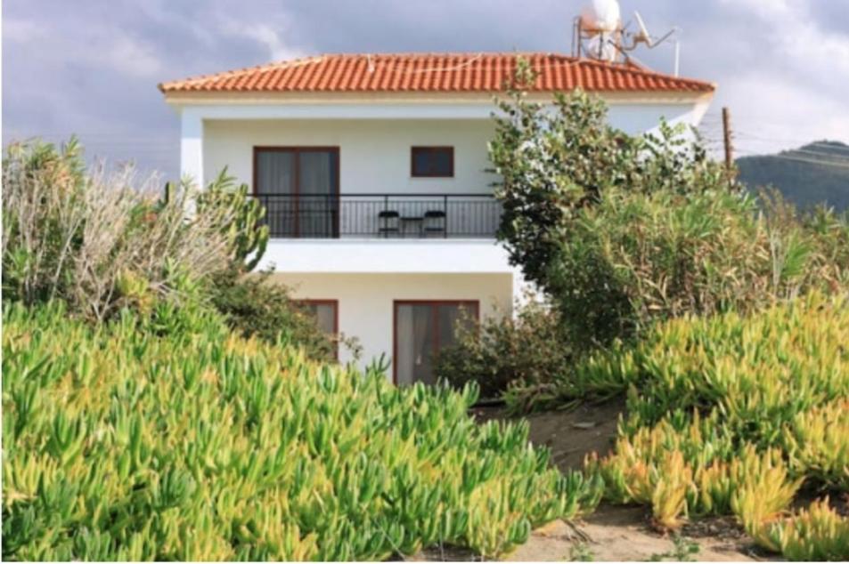 Zahrada ubytování Olgas Villa
