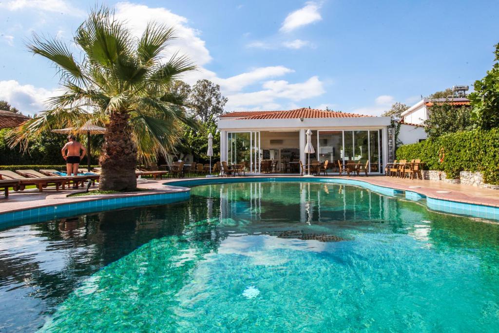 a swimming pool with a palm tree and a house at Ostria in Agia Paraskevi