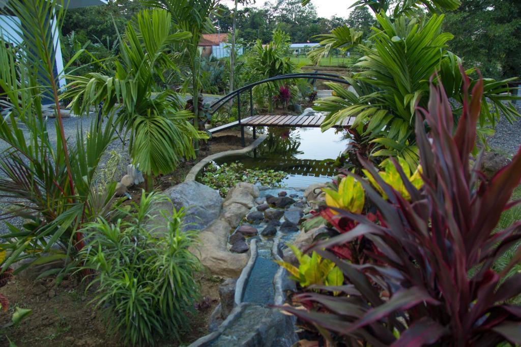Gallery image of Residencias Arenal in Fortuna