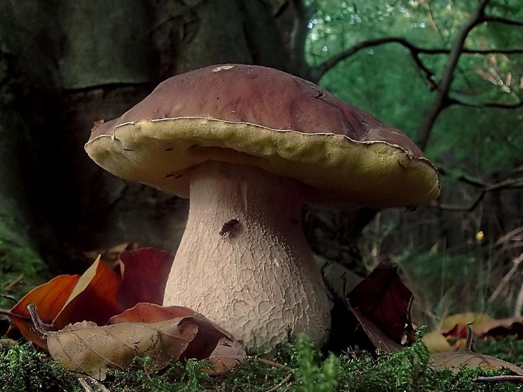 Fotografia z galérie ubytovania Casa Dante v destinácii Vivo dʼOrcia