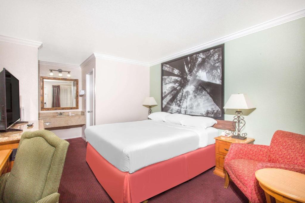 Upper Lake Inn & Suites - Room King - Non-fumeur