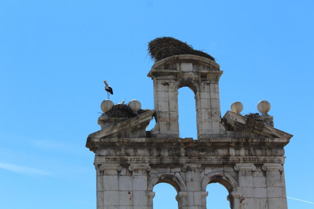 Hotel El Bedel - Triple Chambre (3 Adultes)