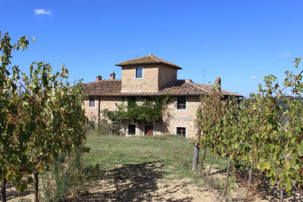una vieja casa de piedra en un campo con árboles en Country House Il Covo della Civetta, en Barberino di Val d'Elsa