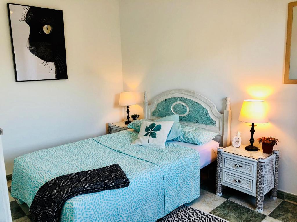 コラレホにあるCactus Lodgeのベッドルーム1室(青いベッド1台、壁に黒猫の絵付)
