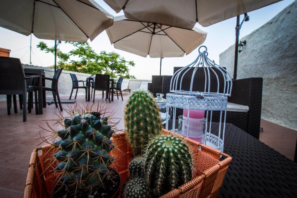 Fotografie z fotogalerie ubytování La terrazza del borgo v destinaci Agrigento