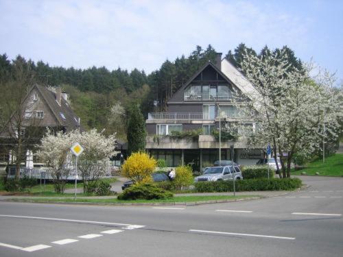a large house with cars parked in front of a street at Waldhotel Tropfsteinhöhle in Wiehl