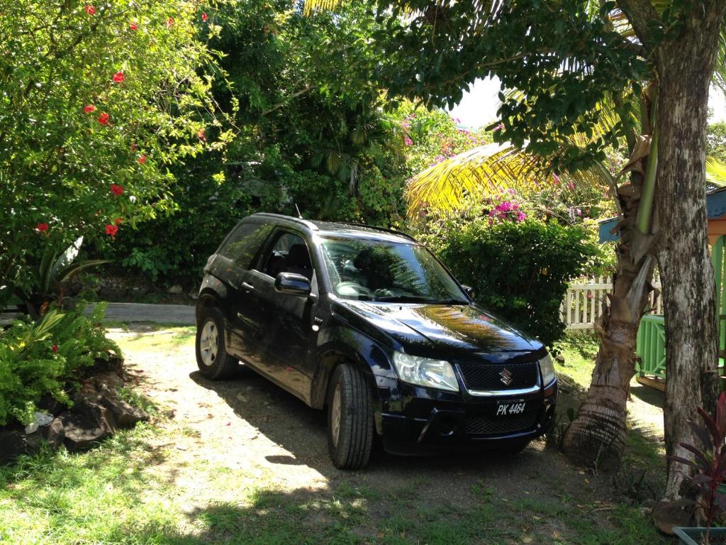 Zahrada ubytování Creole house 2 bedrooms with garden Best View Rodney Bay 21