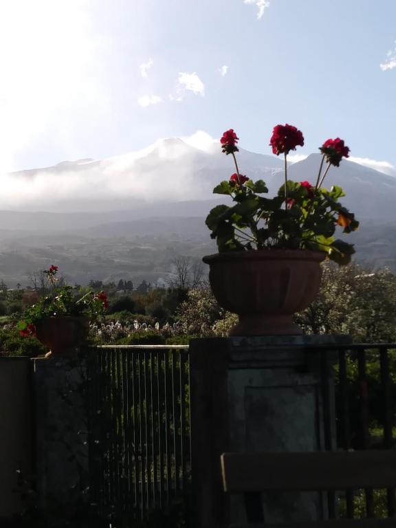 Giardino Arancio - 3