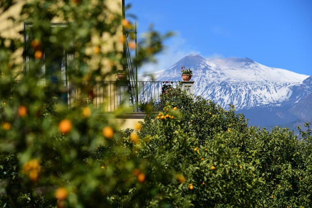 a snow covered mountain with a plant on a balcony at Giardino Arancio in Giarre