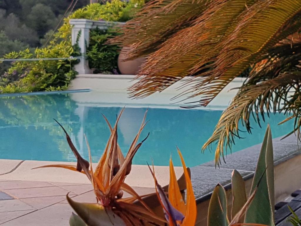 Tenuta Agriturismo IL RISVEGLIO