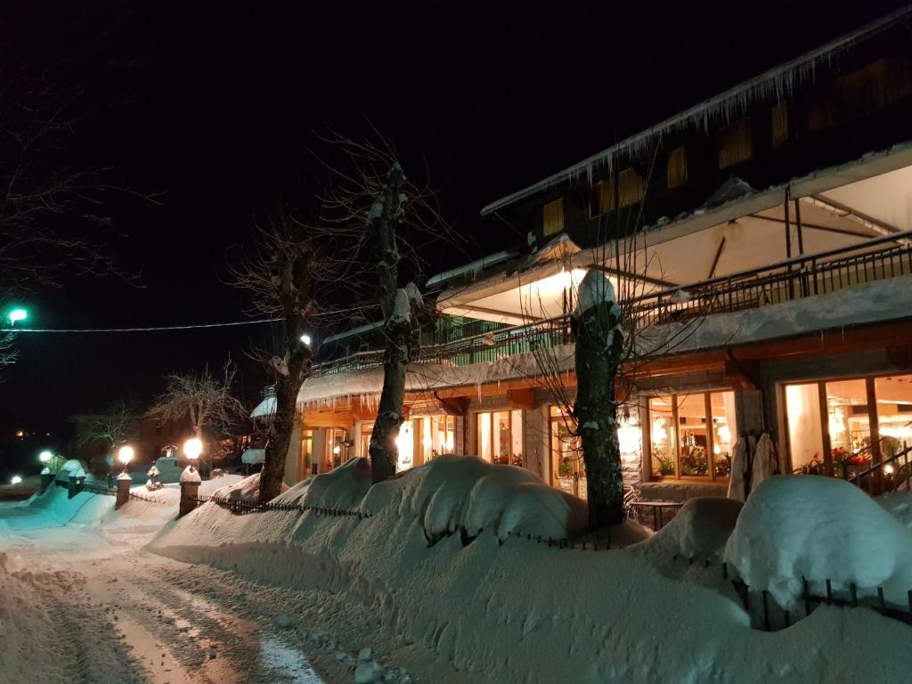 Albergo Ristorante Il Laghetto v zime