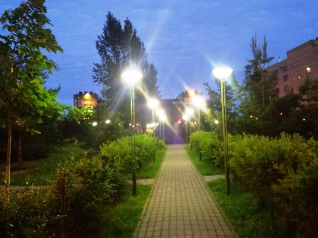 a walkway in a park with street lights at night at Apartment na Fermskom Shosse 32 in Saint Petersburg