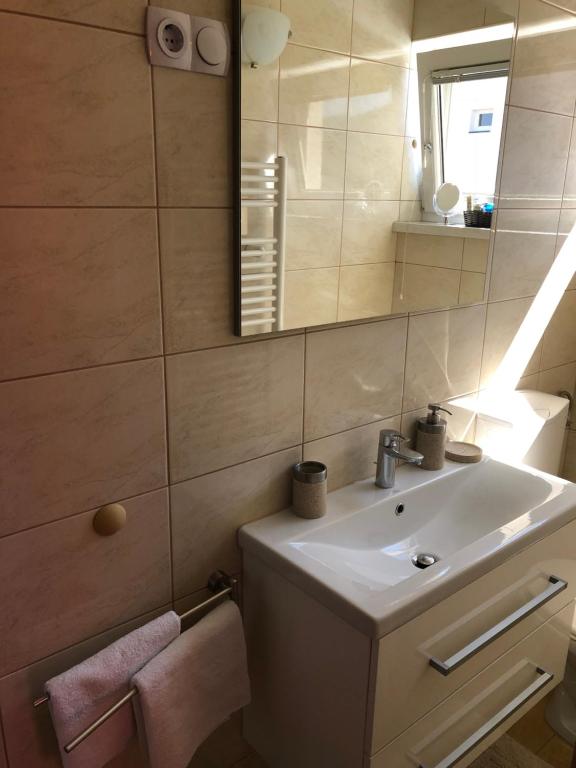 Koupelna v ubytování Perfect Apartma