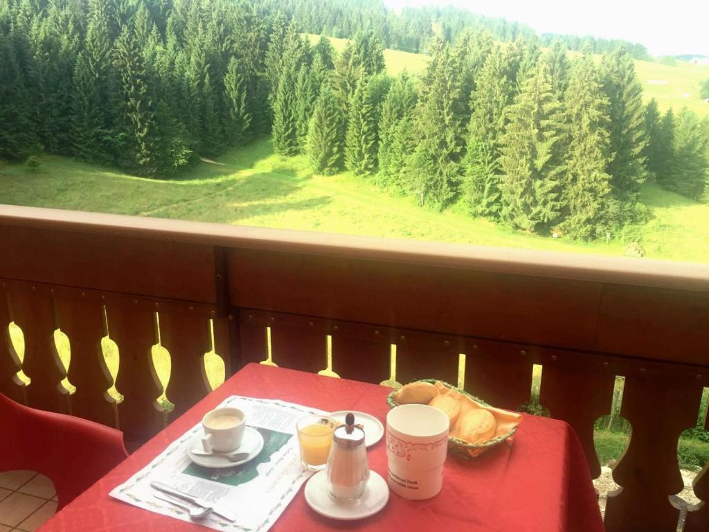 Příroda nedaleko hotelu