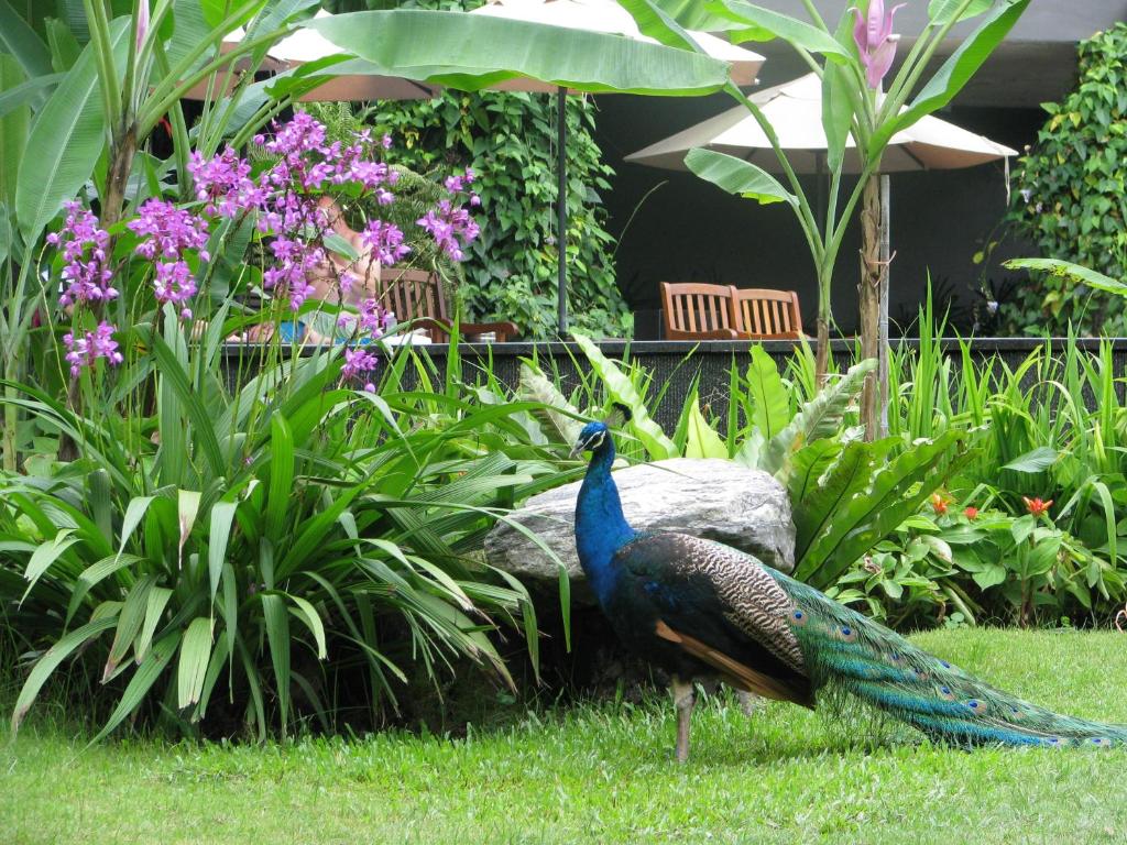 Siloso Beach Resort - Sentosa photo