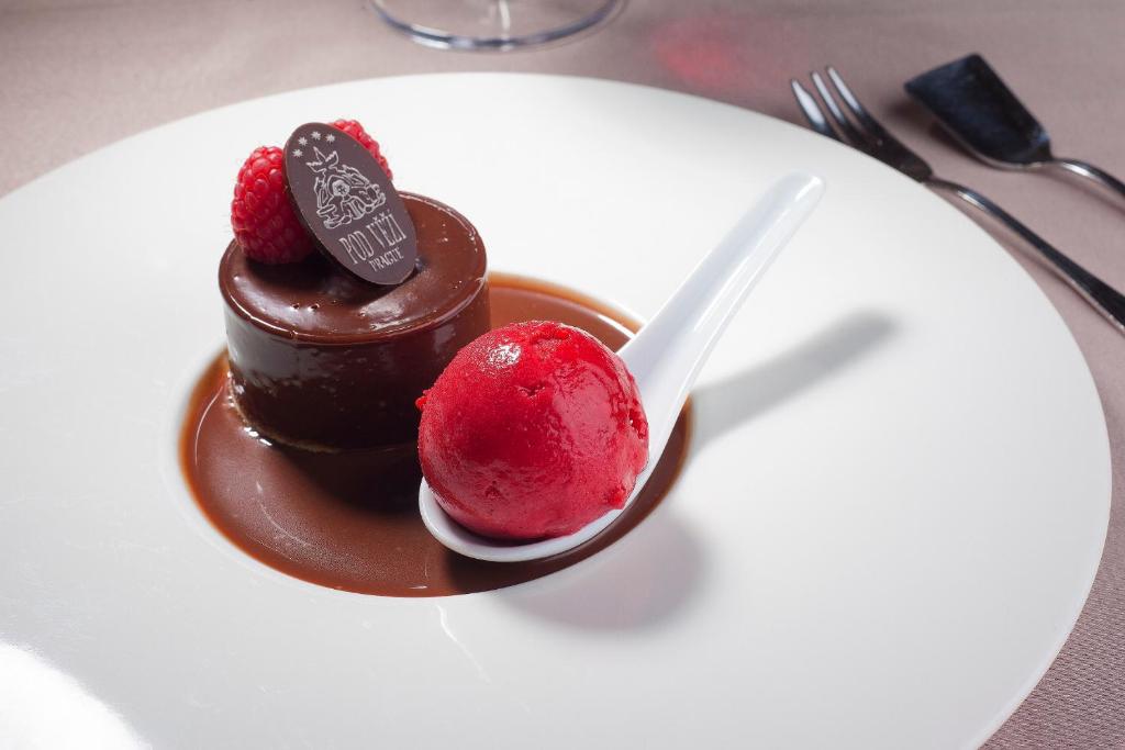 Hotel Pod Veží - Resim 45