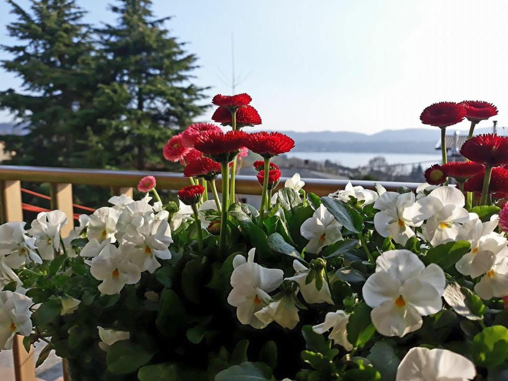 Příroda nedaleko apartmánu