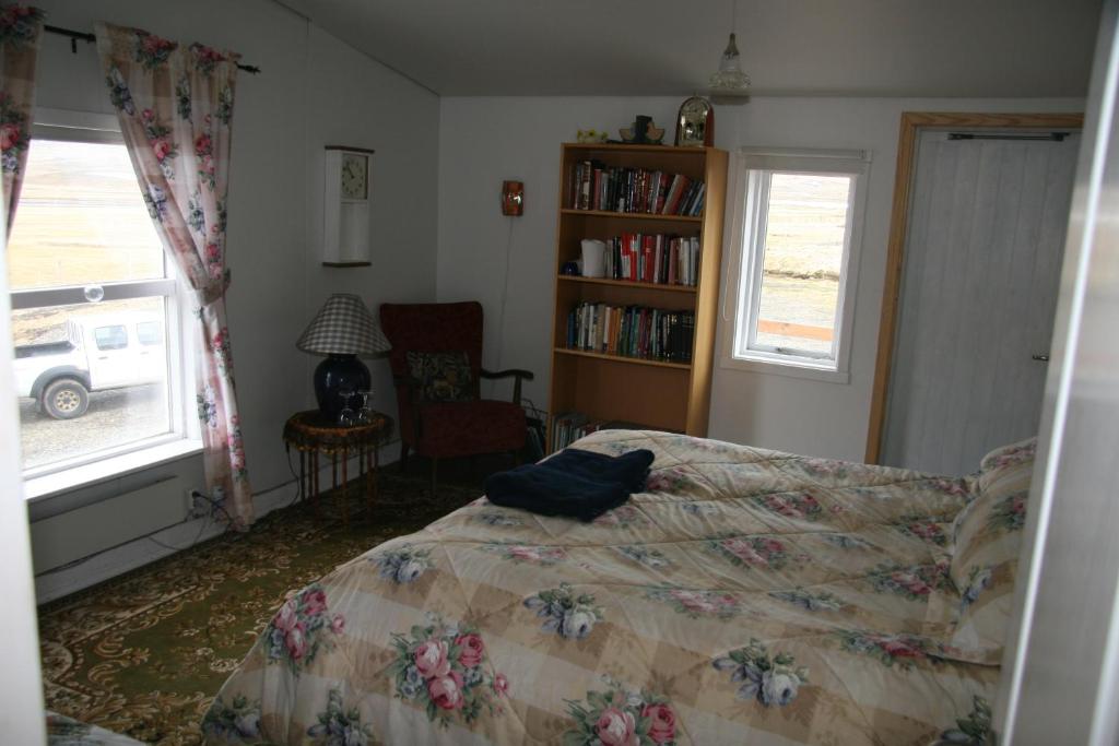 a bedroom with a bed and a book shelf at Seljaland ferðaþjónusta in Búðardalur