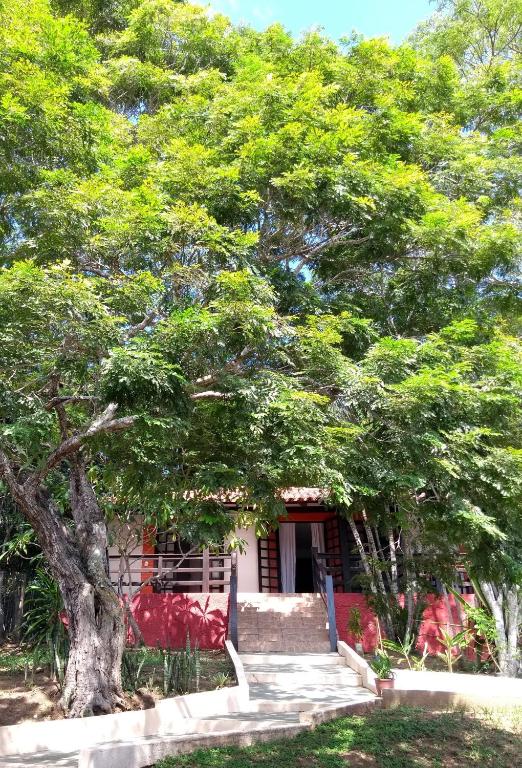  Hotel Pousada Bugaloo