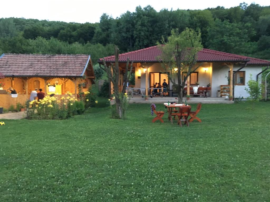 a house with a table and chairs in a yard at Căsuța de sub pădure in Ampoiţa