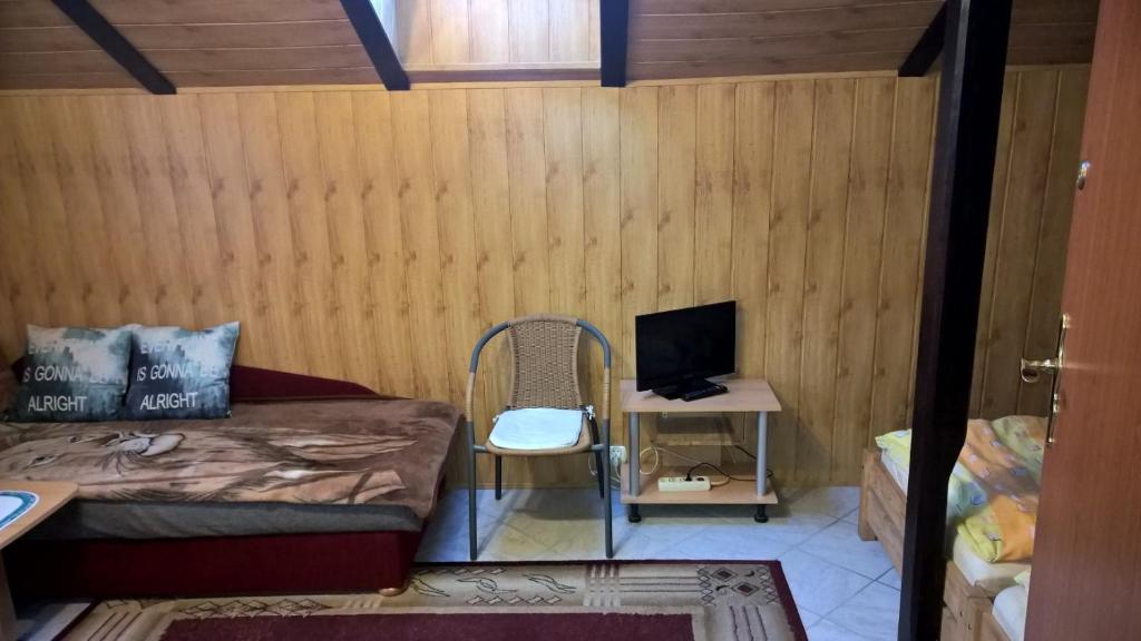TV a/nebo společenská místnost v ubytování Apartament na Wrzosach