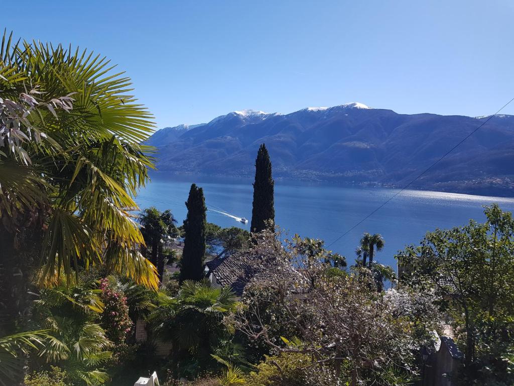 Blick auf einen See mit Bäumen und Bergen in der Unterkunft Residence Venus Garden in Brissago