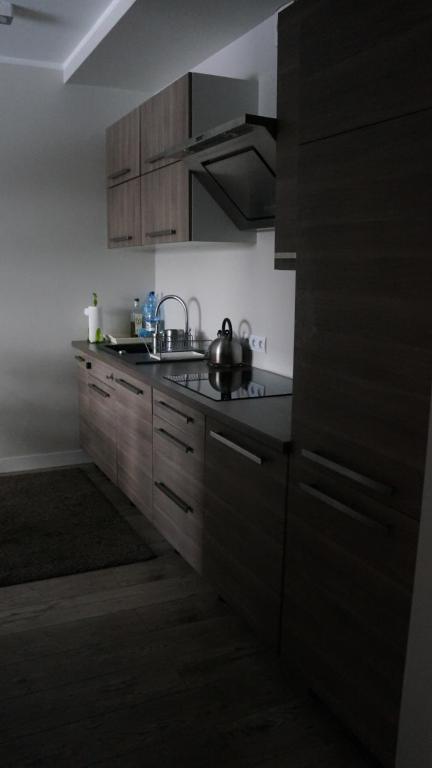 Kuchyň nebo kuchyňský kout v ubytování Apartamenty Legionów