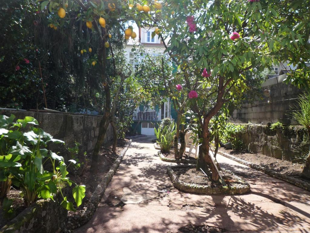 Zahrada ubytování Casa Familiar do Porto