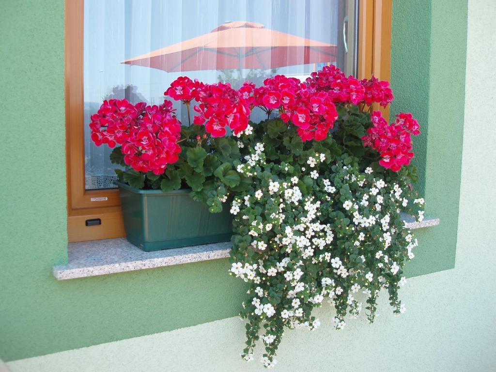 Fotografie z fotogalerie ubytování Motel Divjak v destinaci Spodnje Hoče