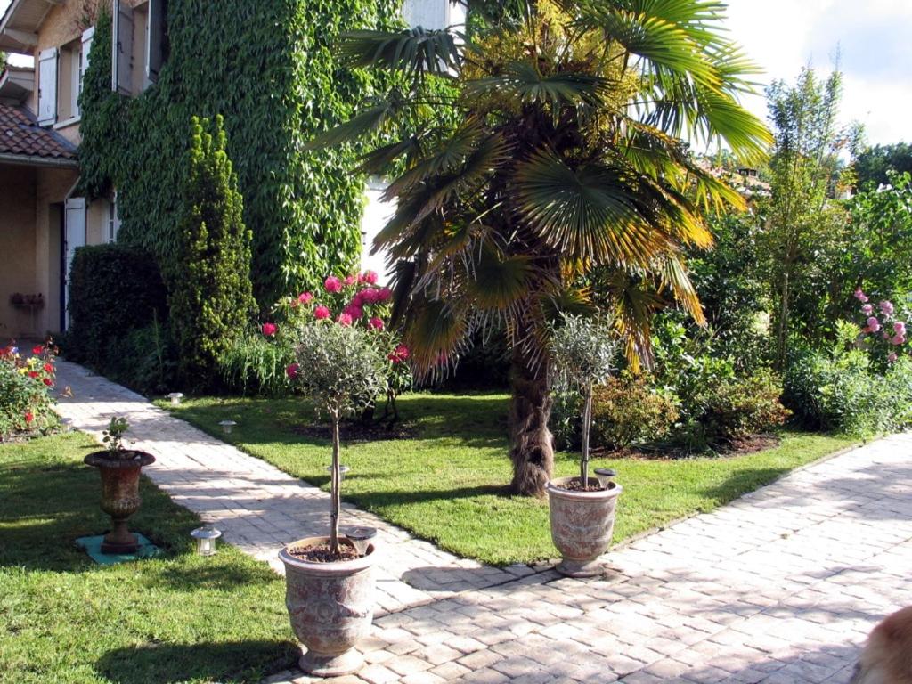 グラディニャンにあるL'eau Bourdeの鉢植えの木とヤシの木がある庭園