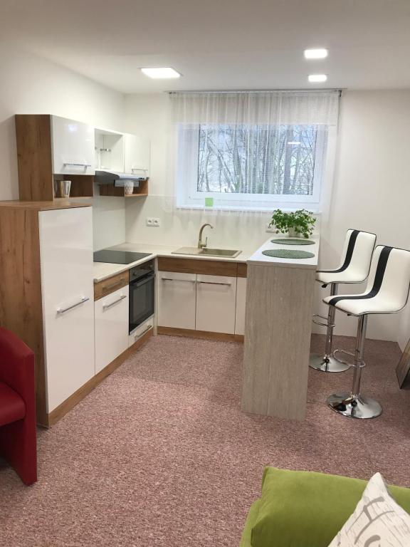 kuchnia z białymi szafkami, zlewem i 2 krzesłami w obiekcie Apartmans Les w Zlinie
