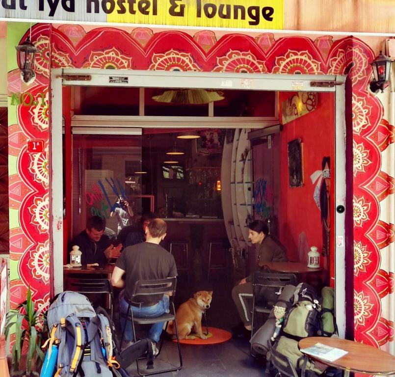 a group of people sitting at a restaurant with a cat in front at Chillout Lya Hostel & Lounge in Istanbul