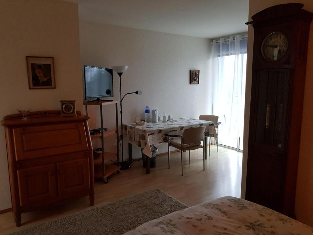 TV a/nebo společenská místnost v ubytování Villa Le Rabailly
