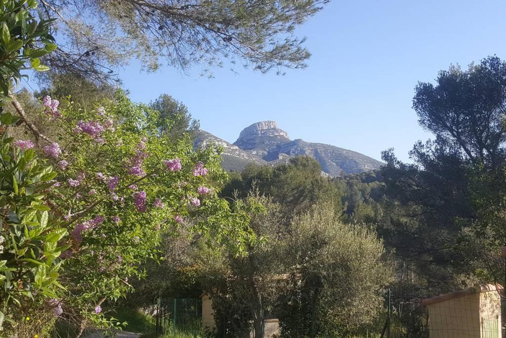 a mountain in the distance with trees and flowers at Charmant Appartement Neuf Le Taoume in Éoures