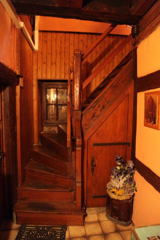 La Grenouille – photo 15