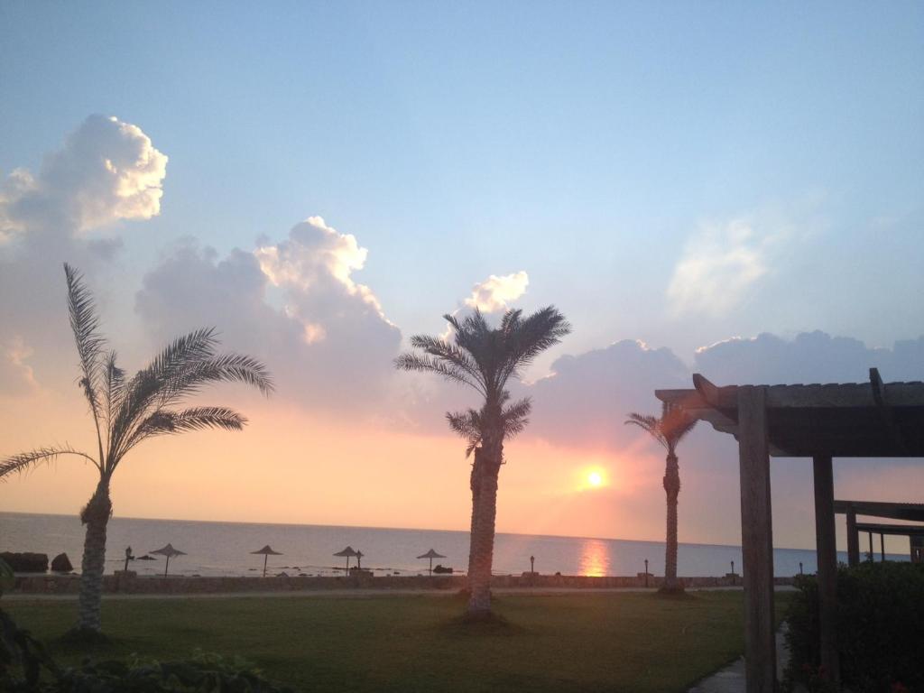 a sunset at the beach with palm trees at Beach Front Chalet (For Families) in Ain Sokhna