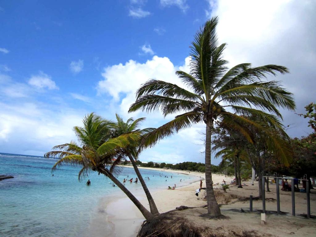 a beach with palm trees and people in the water at Villa Les Trois Moulins in Saint-François