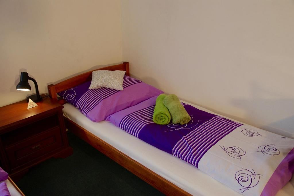 Voodi või voodid majutusasutuse Hostel Humpolec toas